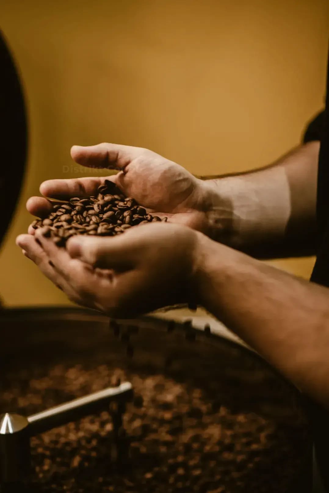 Distrikt Coffee 12